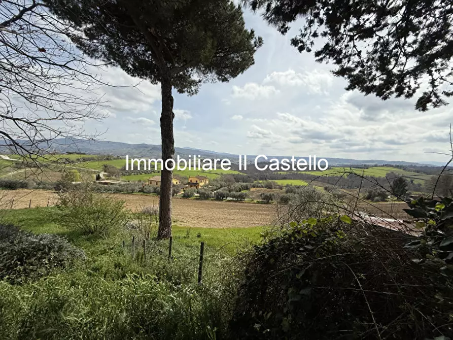 Immagine 14 di Terreno in vendita  in i Poggi a Castiglione Del Lago