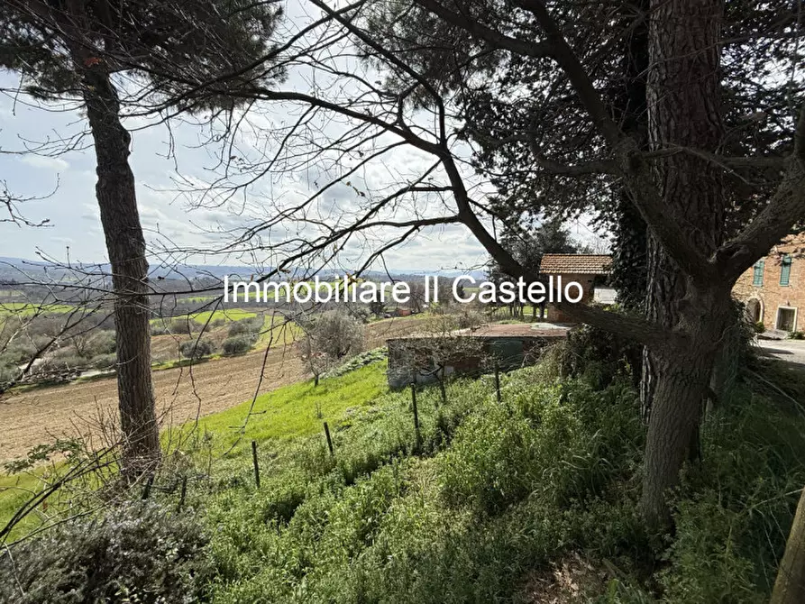 Immagine 15 di Terreno in vendita  in i Poggi a Castiglione Del Lago