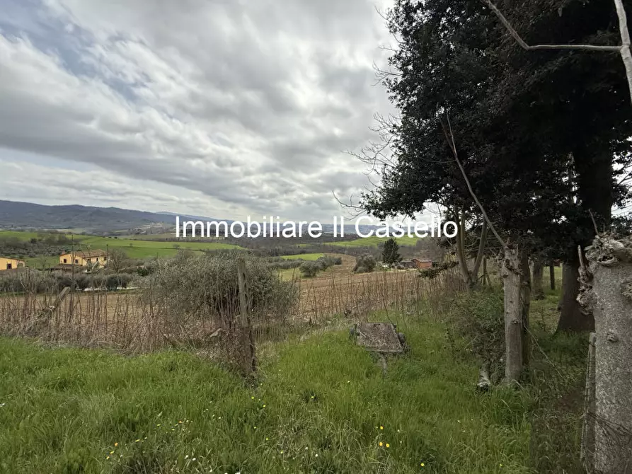 Immagine 16 di Terreno in vendita  in i Poggi a Castiglione Del Lago