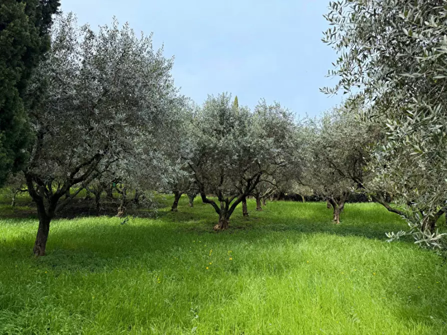 Immagine 22 di Casa indipendente in vendita  in Via Gio Batta Biancolini 36 a Verona