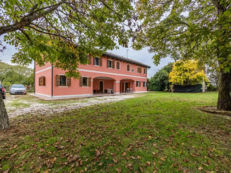 Immagine 19 di Casa indipendente in vendita  in Via Perarello a Vigodarzere