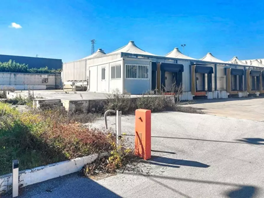 Immagine 3 di Terreno in vendita  in via Rivalon, N. snc a Piacenza D'adige