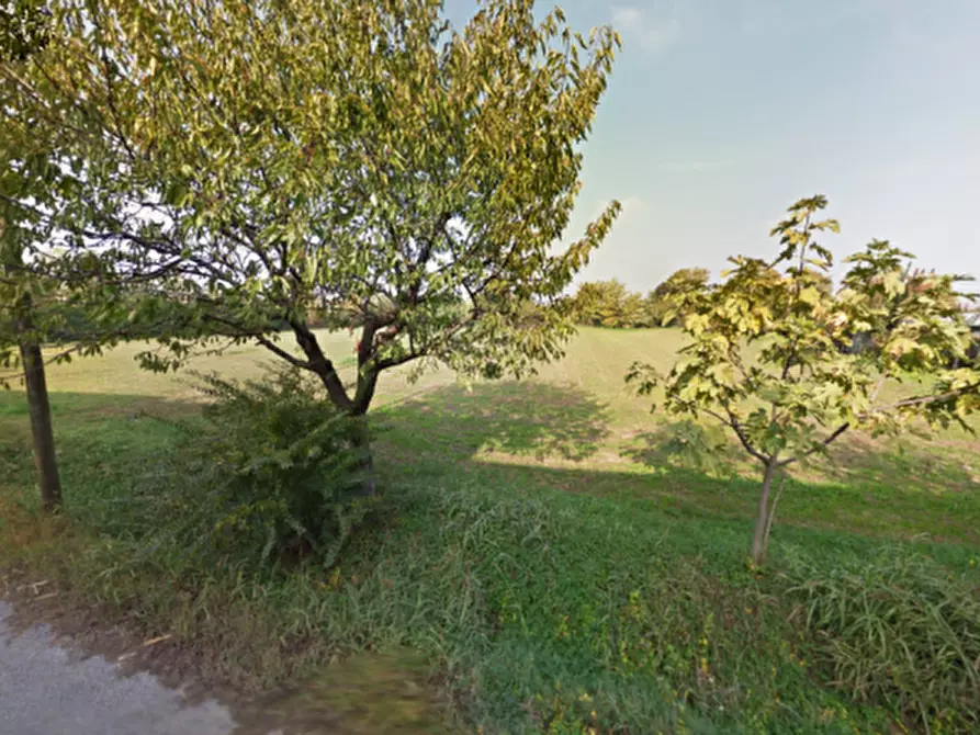 Immagine 3 di Terreno in vendita  in Via Mantova a Montichiari