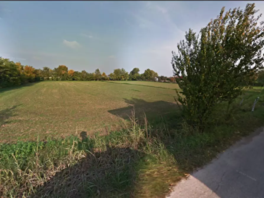 Immagine 5 di Terreno in vendita  in Via Mantova a Montichiari