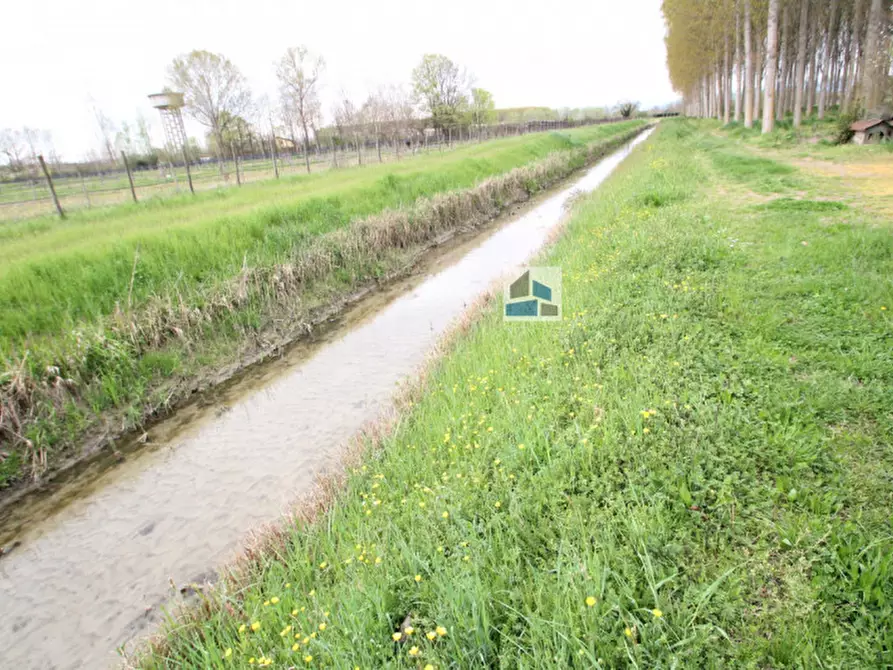 Immagine 2 di Terreno in vendita  in Via Pianiga - 41/A-41/C a Santa Maria Di Sala