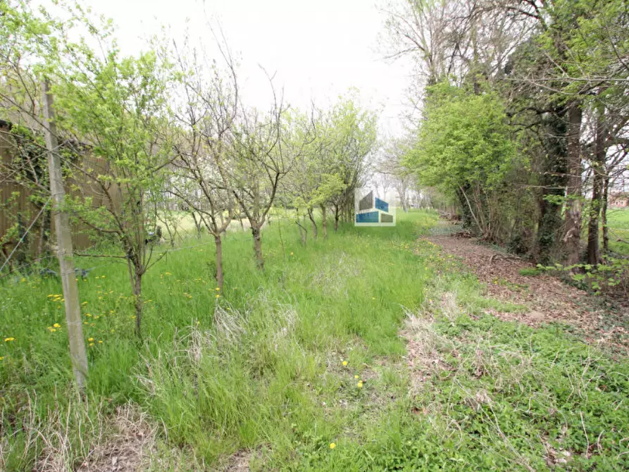 Immagine 3 di Terreno in vendita  in Via Pianiga - 41/A-41/C a Santa Maria Di Sala