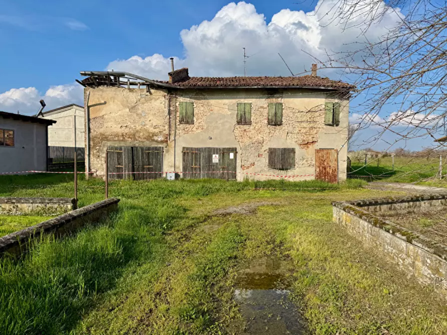 Immagine 3 di Rustico / casale in vendita  in via vecchia di sissa 1 a Sissa Trecasali