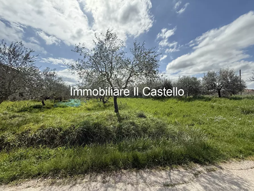 casale in vendita a Castiglione del Lago