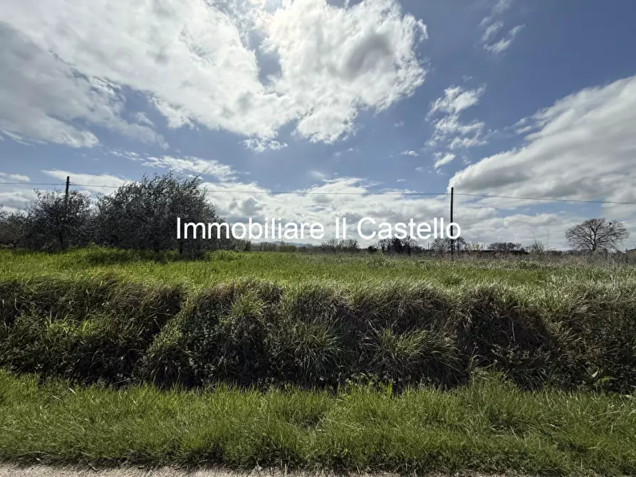 Immagine 2 di Terreno in vendita  in Via Cascina a Castiglione Del Lago