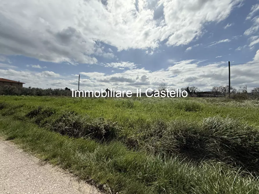 Immagine 3 di Terreno in vendita  in Via Cascina a Castiglione Del Lago