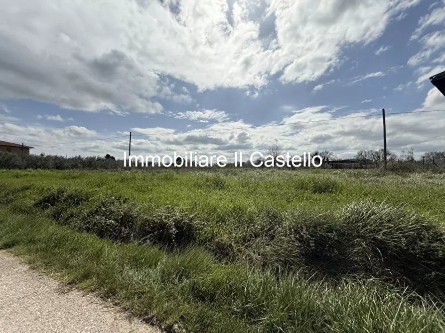 Immagine 4 di Terreno in vendita  in Via Cascina a Castiglione Del Lago