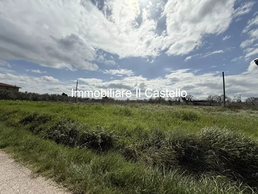 Immagine 5 di Terreno in vendita  in Via Cascina a Castiglione Del Lago