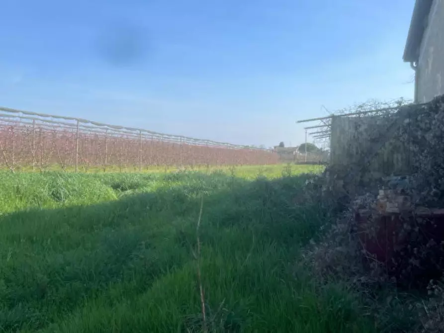 Immagine 1 di Casa indipendente in vendita  a Cesena