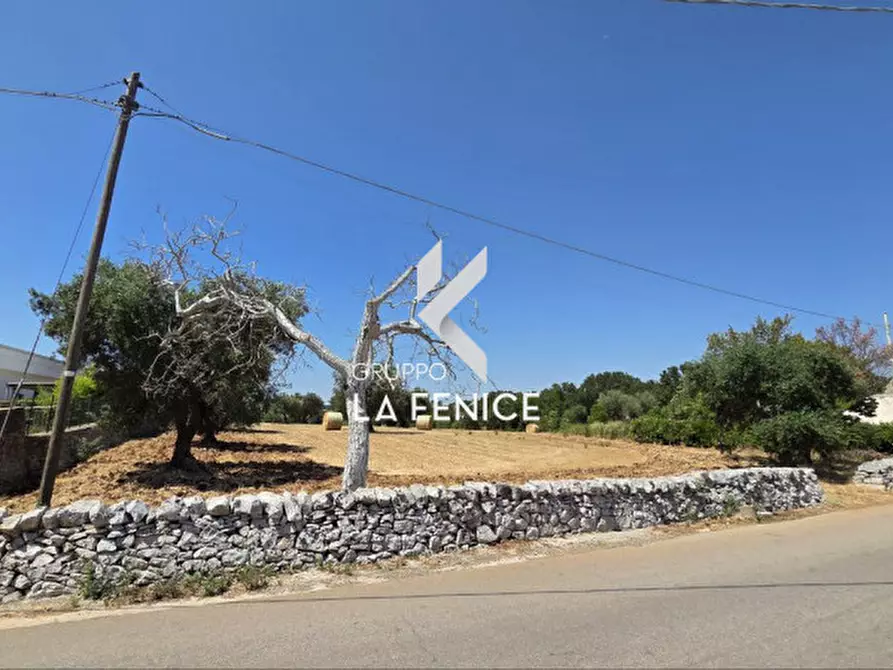Immagine 1 di Terreno in vendita  in contrada Pozzomasiello a Locorotondo