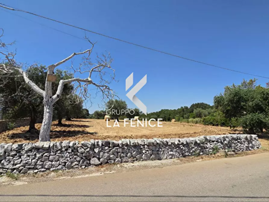 Immagine 2 di Terreno in vendita  in contrada Pozzomasiello a Locorotondo