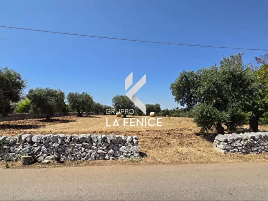 Immagine 3 di Terreno in vendita  in contrada Pozzomasiello a Locorotondo