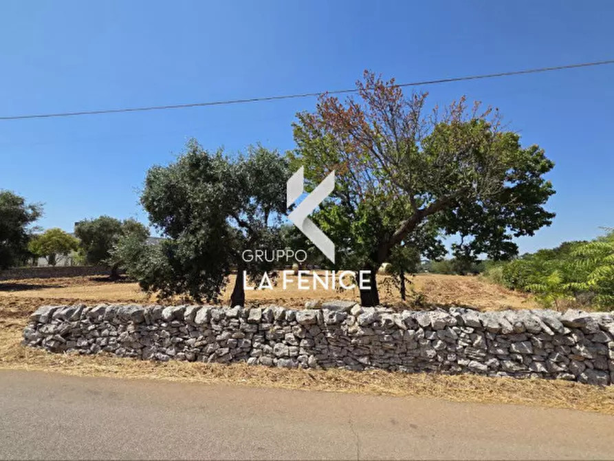 Immagine 4 di Terreno in vendita  in contrada Pozzomasiello a Locorotondo