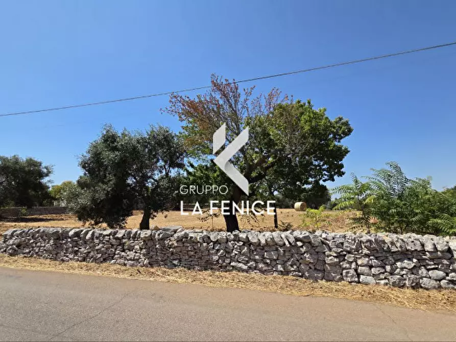 Immagine 5 di Terreno in vendita  in contrada Pozzomasiello a Locorotondo