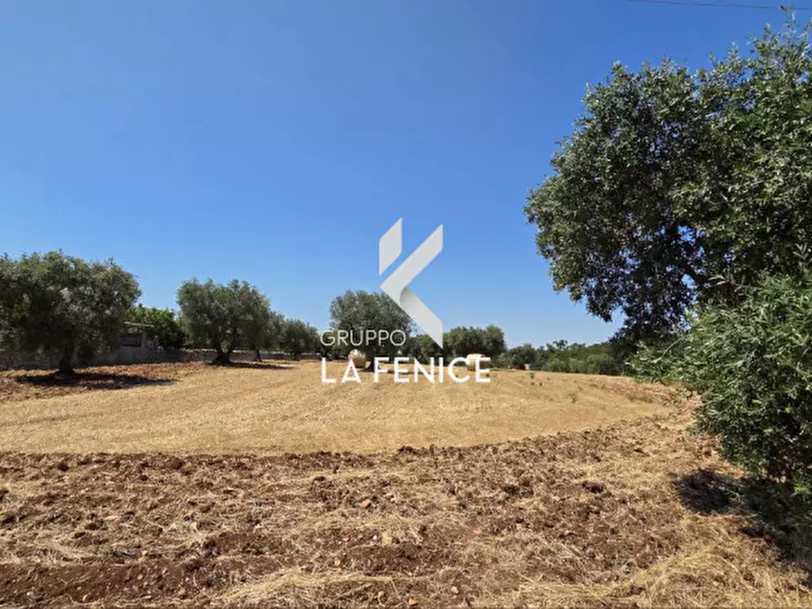 Immagine 6 di Terreno in vendita  in contrada Pozzomasiello a Locorotondo