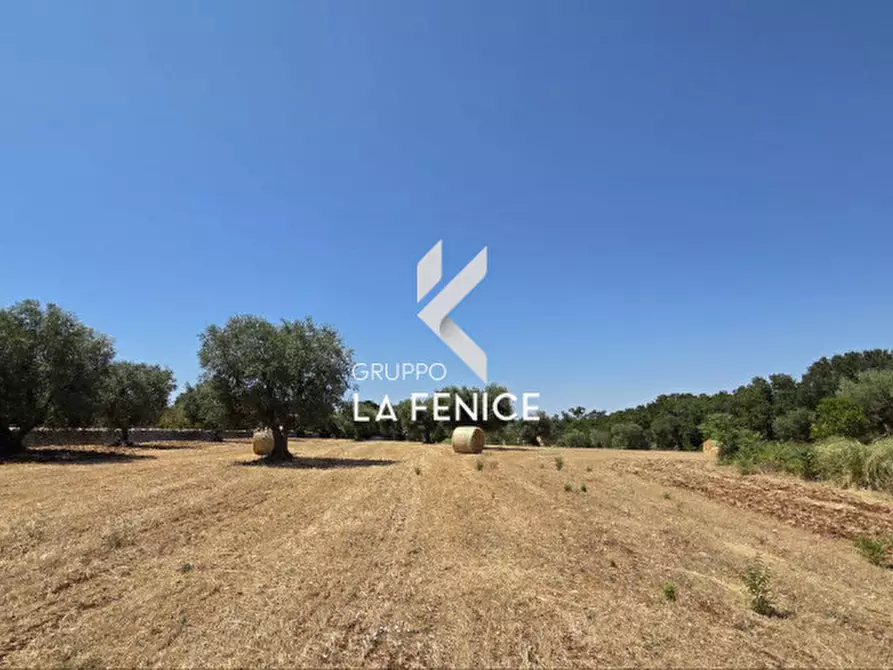 Immagine 7 di Terreno in vendita  in contrada Pozzomasiello a Locorotondo