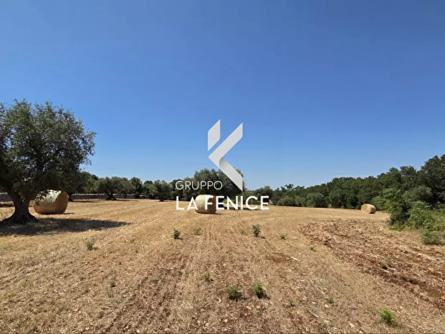 Immagine 8 di Terreno in vendita  in contrada Pozzomasiello a Locorotondo