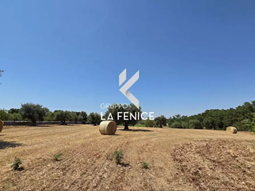 Immagine 9 di Terreno in vendita  in contrada Pozzomasiello a Locorotondo