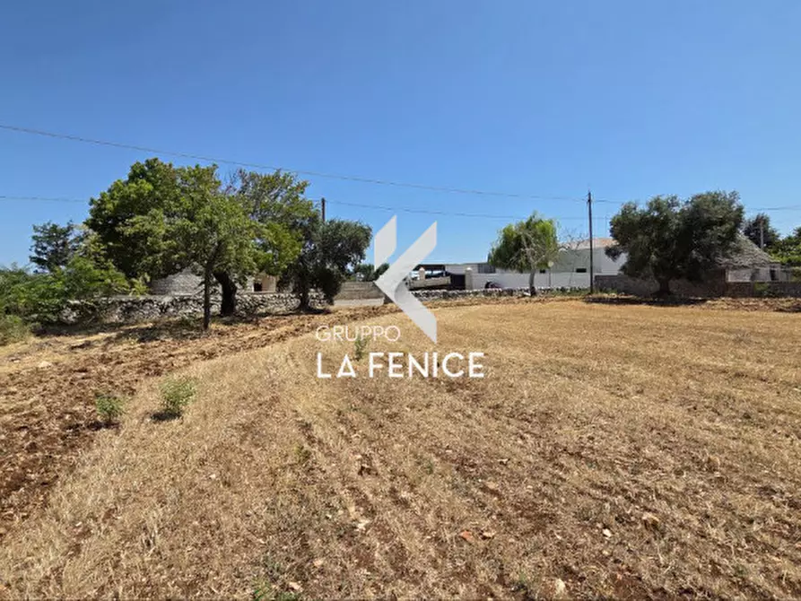 Immagine 10 di Terreno in vendita  in contrada Pozzomasiello a Locorotondo