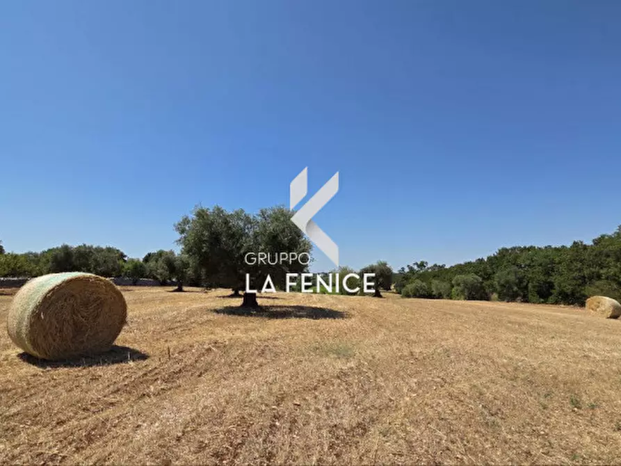 Immagine 11 di Terreno in vendita  in contrada Pozzomasiello a Locorotondo