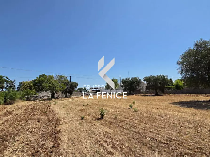 Immagine 12 di Terreno in vendita  in contrada Pozzomasiello a Locorotondo