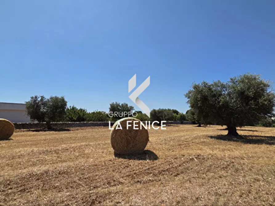Immagine 13 di Terreno in vendita  in contrada Pozzomasiello a Locorotondo
