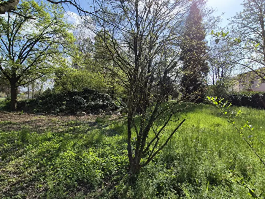 Immagine 23 di Casa bifamiliare in vendita  a Novi Di Modena