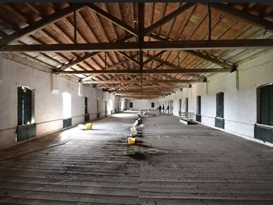 Immagine 9 di Villa in vendita  in Via Cavour a Ceggia