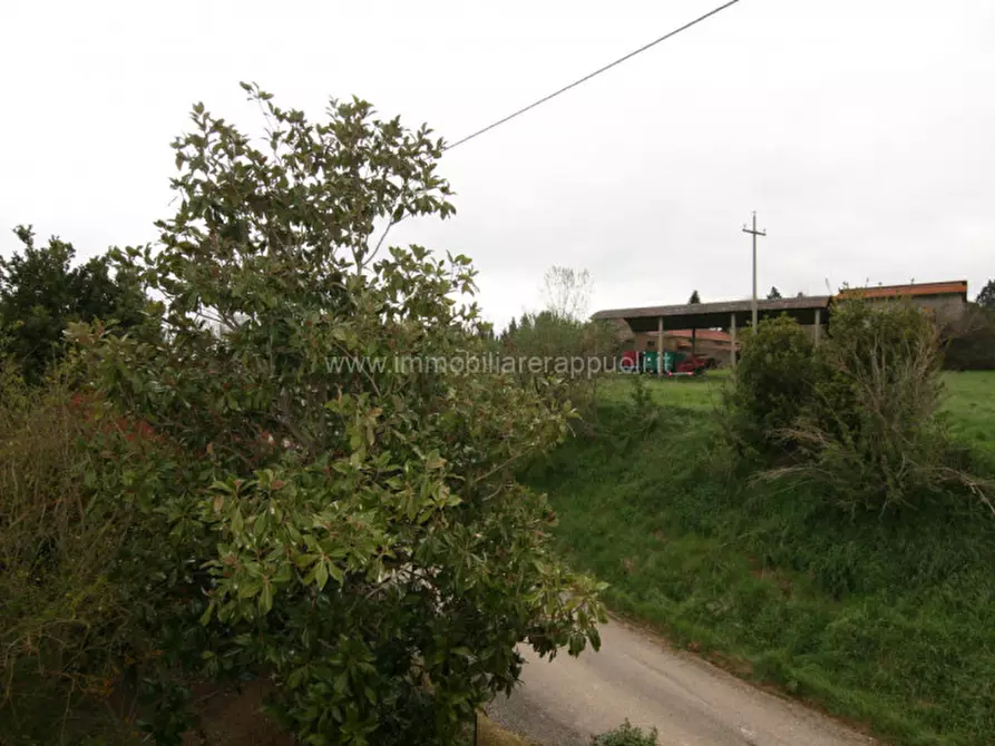 Immagine 6 di Casa indipendente in vendita  a Sinalunga