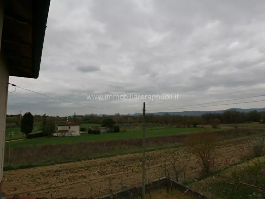 Immagine 11 di Casa indipendente in vendita  a Sinalunga