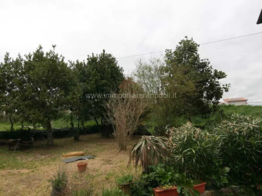 Immagine 27 di Casa indipendente in vendita  a Sinalunga