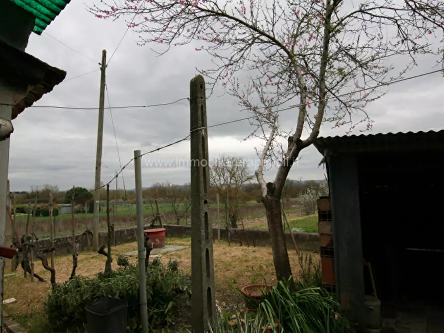 Immagine 34 di Casa indipendente in vendita  a Sinalunga