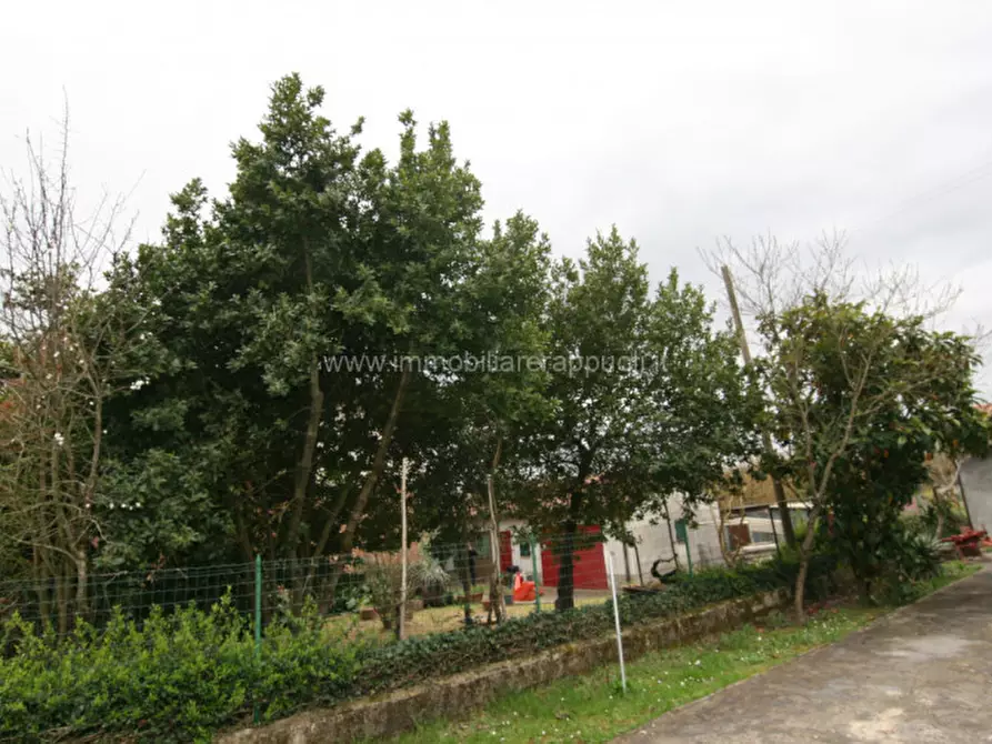 Immagine 38 di Casa indipendente in vendita  a Sinalunga