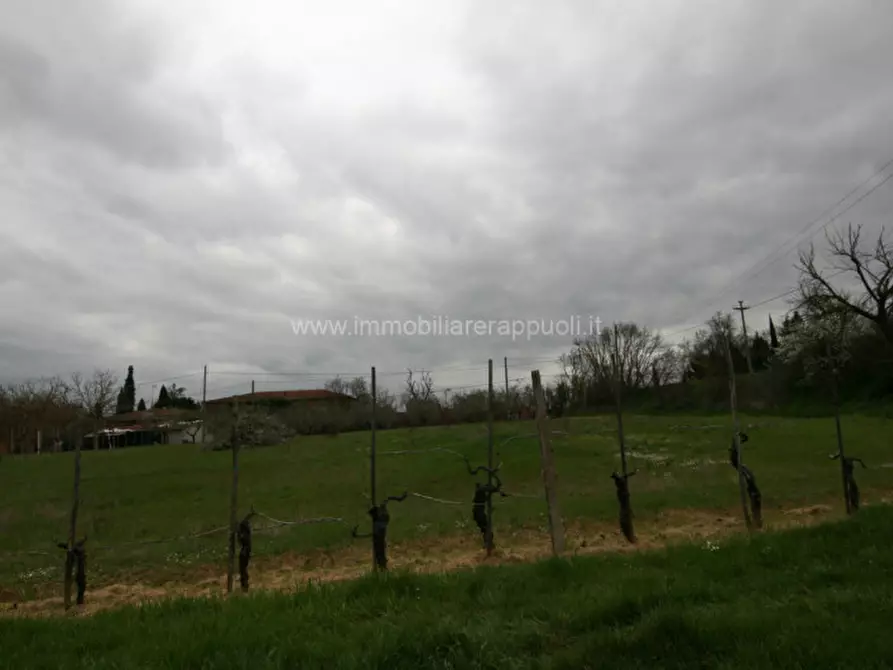 Immagine 39 di Casa indipendente in vendita  a Sinalunga