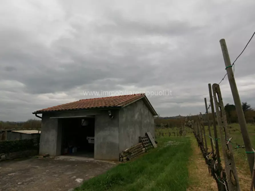 Immagine 40 di Casa indipendente in vendita  a Sinalunga