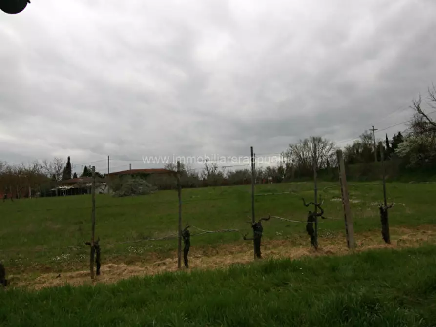 Immagine 41 di Casa indipendente in vendita  a Sinalunga