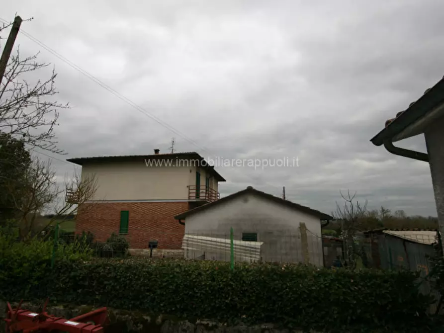 Immagine 42 di Casa indipendente in vendita  a Sinalunga