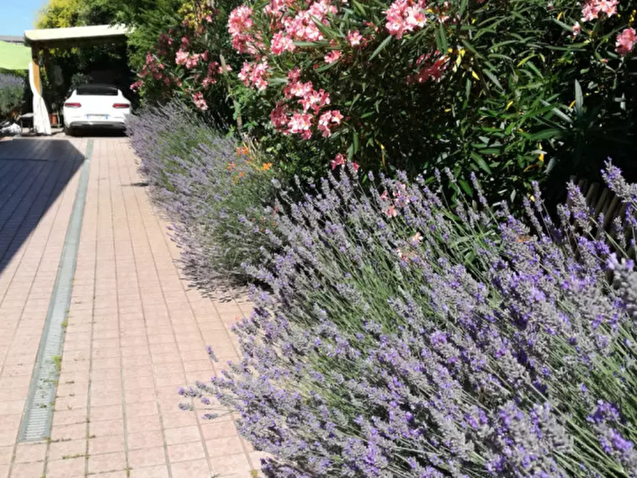 Immagine 5 di Casa bifamiliare in vendita  in Via Roma a Sant'elena