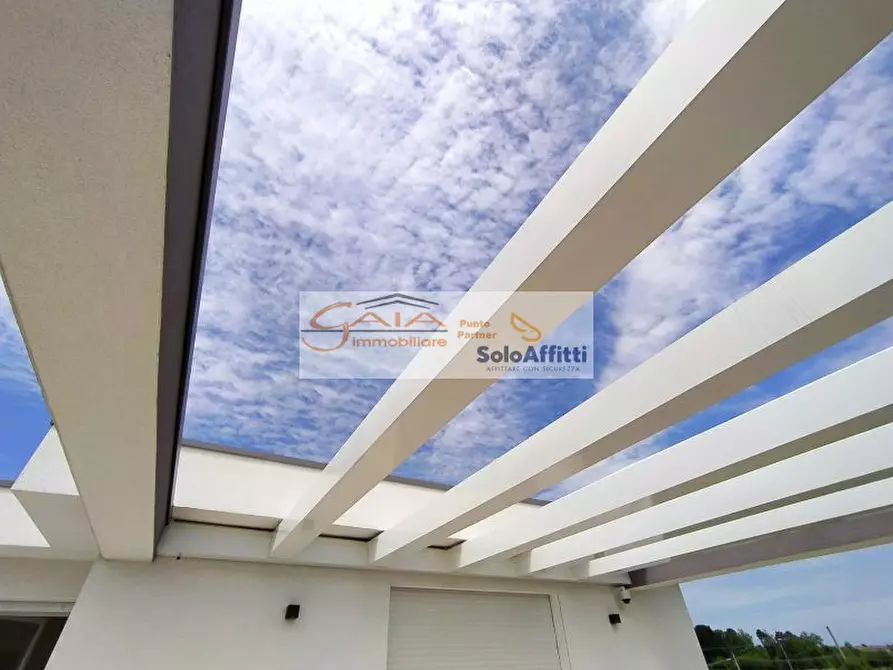 Immagine 2 di Villa in vendita  a Stra