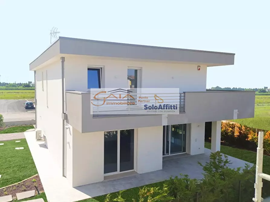 Immagine 3 di Villa in vendita  a Stra