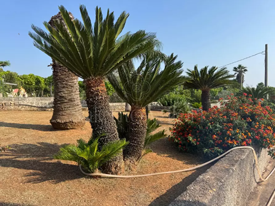 Immagine 2 di Villa in vendita  in Rischiazzi a Parabita