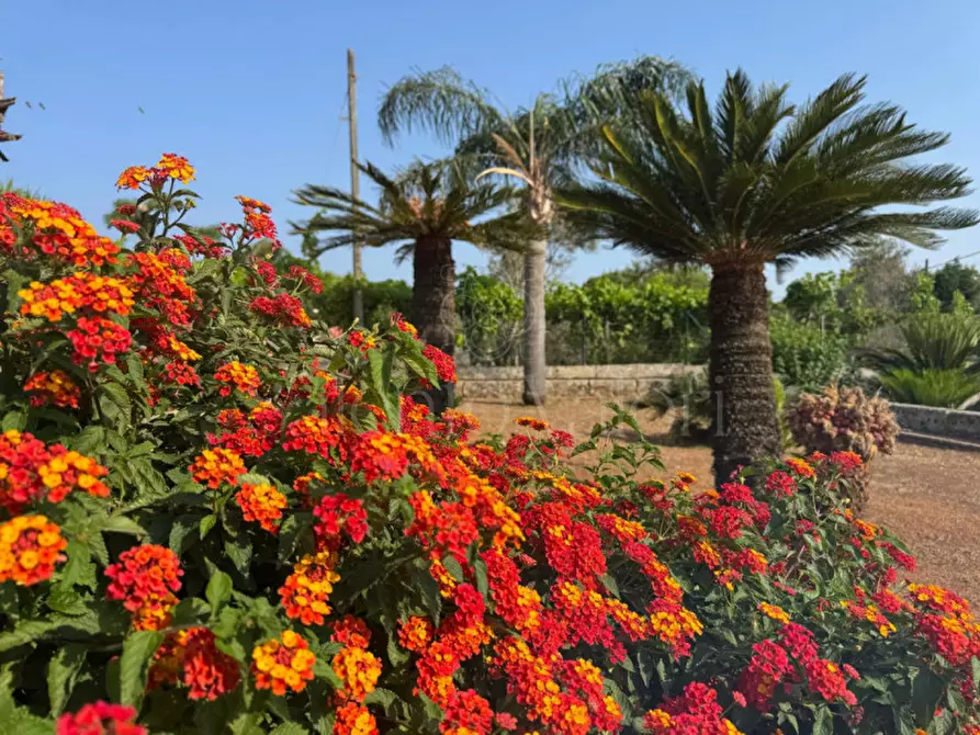Immagine 3 di Villa in vendita  in Rischiazzi a Parabita