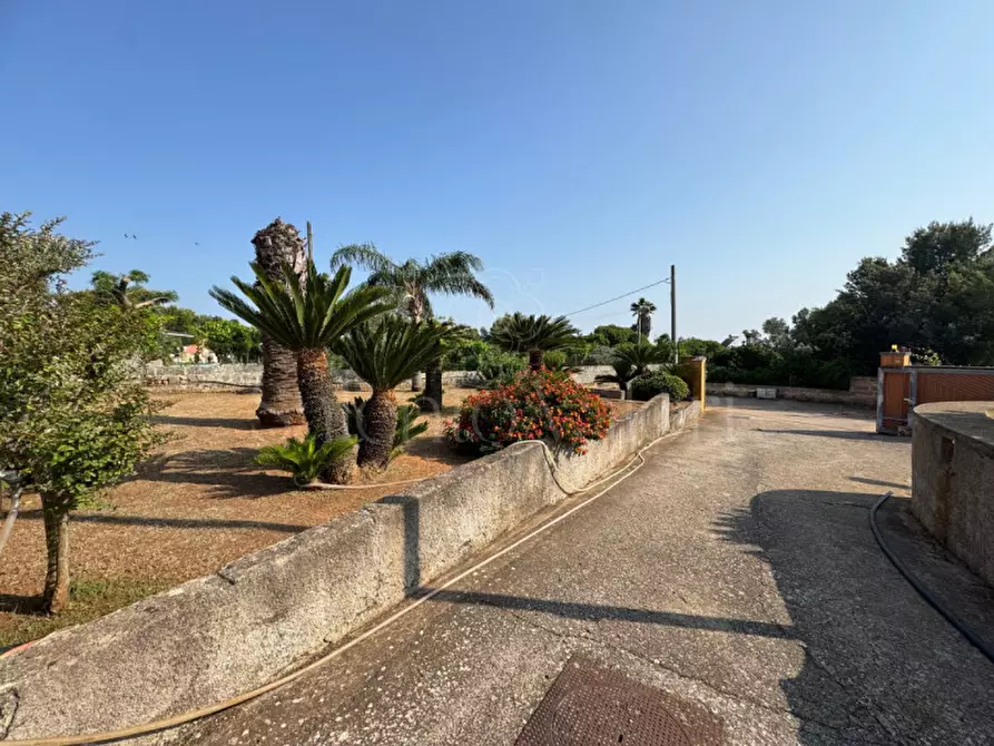 Immagine 4 di Villa in vendita  in Rischiazzi a Parabita