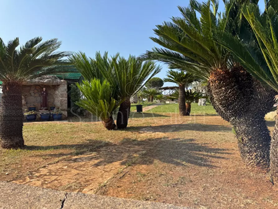 Immagine 9 di Villa in vendita  in Rischiazzi a Parabita