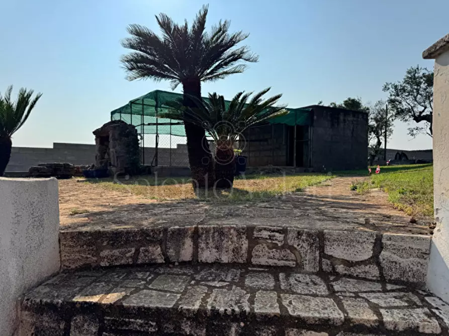 Immagine 12 di Villa in vendita  in Rischiazzi a Parabita