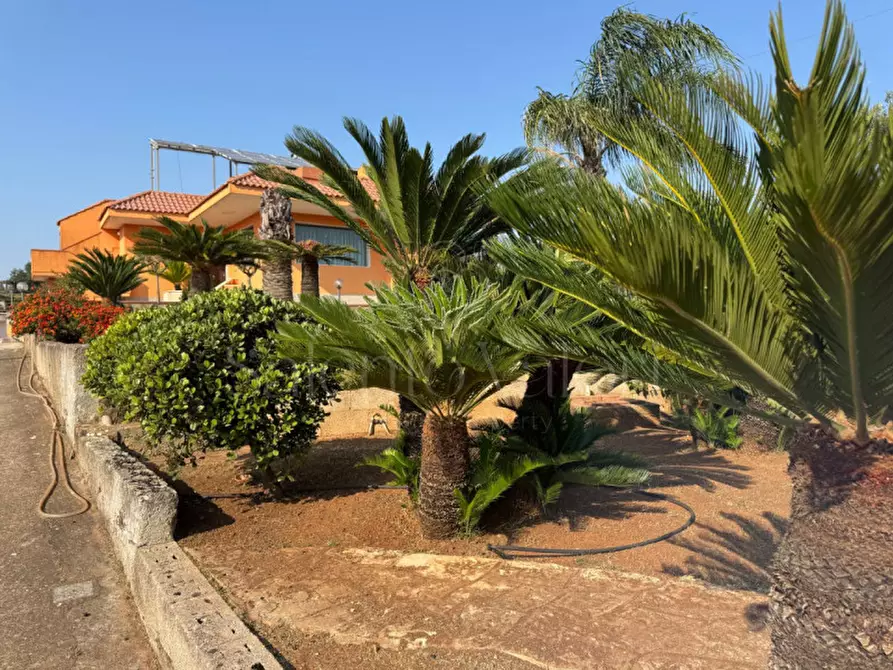 Immagine 13 di Villa in vendita  in Rischiazzi a Parabita